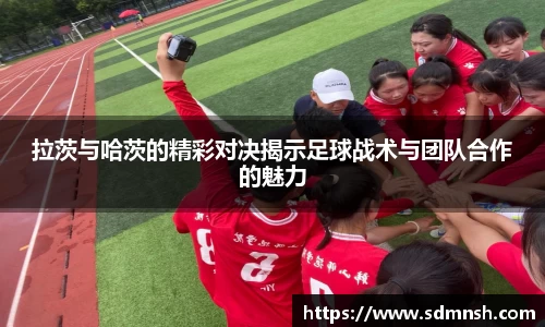 lehu乐虎国际官方网站