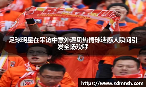 lehu乐虎国际官方网站